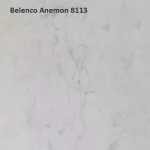 Anemon 8113